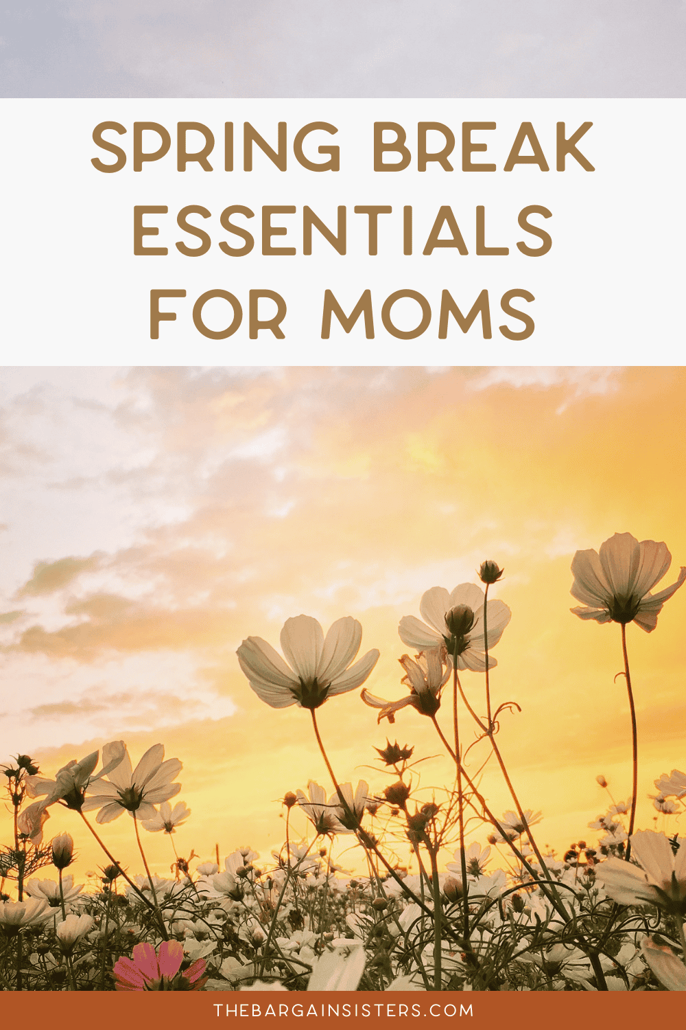 21 Spring Break Essentials You’ll Wish You Packed - The Bargain Sisters®