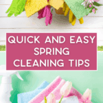 Various cleaning supplies and tulips are arranged around text that reads "Quick and Easy Spring Cleaning Tips" with cleaning cloths and spray bottle below.