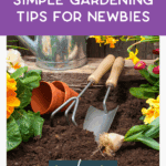 Gardening tools, flowerpots, outdoor planters, and bright yellow flowers are arranged on soil in front of a wooden fence. Text reads, "Simple gardening tips for newbies. Read more. thebargainsisters.com.