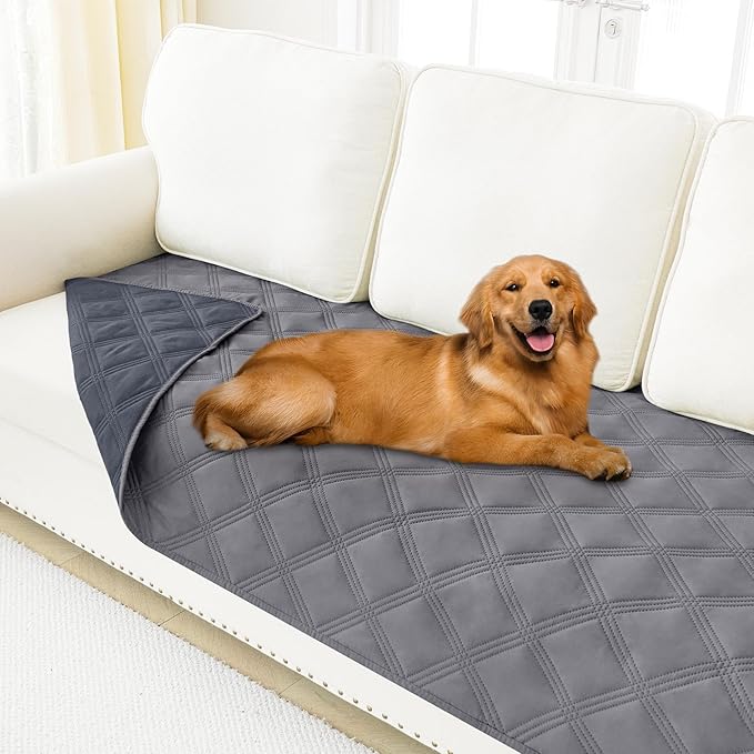 A golden retriever lies on a grey quilted sofa cover, comfortably resting on a white couch in a bright living room—just in time to enjoy those cozy Thursday Deals.