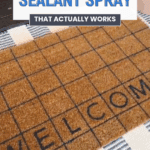 A brown "WELCOME" doormat sits on a blue-and-white checkered mat. Text above reads, "Waterproof Sealant Spray That Actually Works." Thebargainsisters.com appears at the bottom.