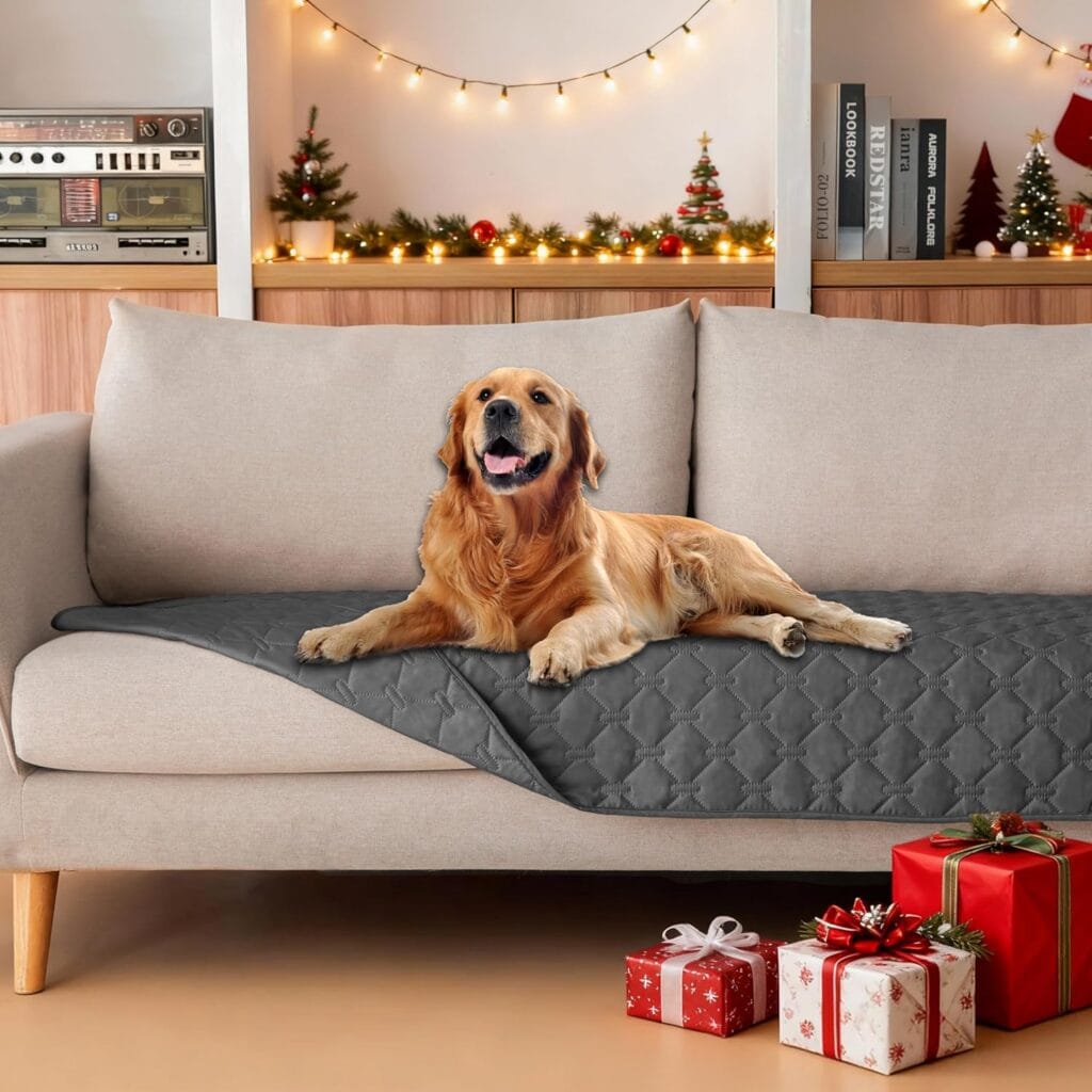 A golden retriever lies on a gray quilted cover on a beige sofa. Behind the dog are holiday decorations, string lights, small Christmas trees, and wrapped presents on the floor in front of the couch.