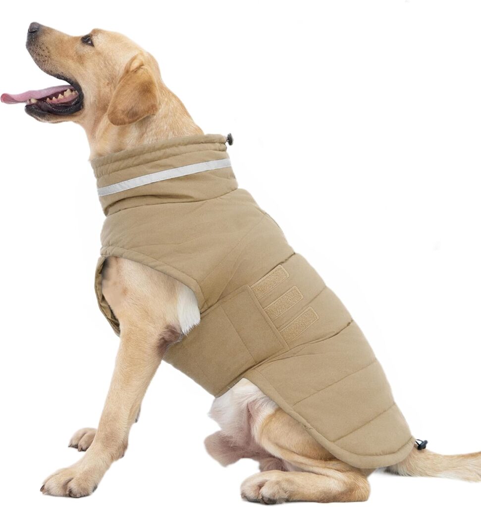 A yellow Labrador retriever sits in profile, wearing a tan padded dog jacket with a reflective stripe around the neck area. The dog’s mouth is open and tongue out, appearing relaxed.