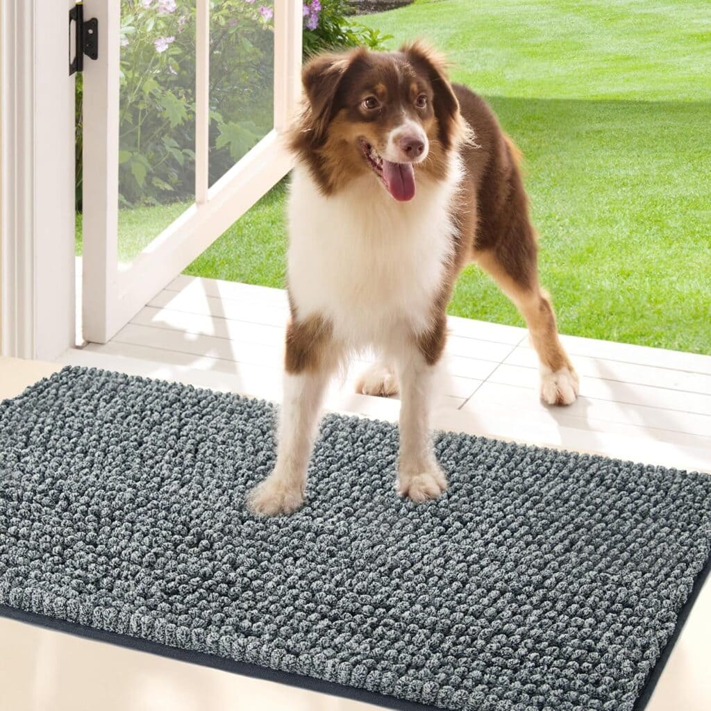 A brown and white dog stands on a textured gray doormat by an open door, with green grass and plants visible outside. The dog looks happy with its tongue out.