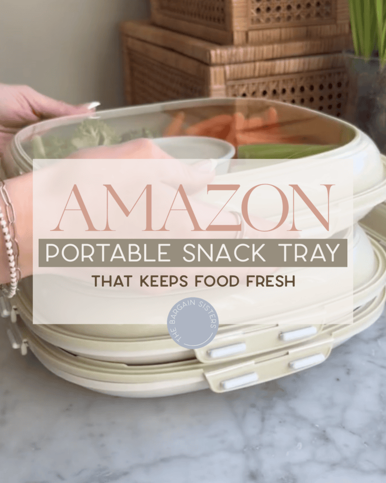 A Portable Snack Tray That Keeps Food Fresh