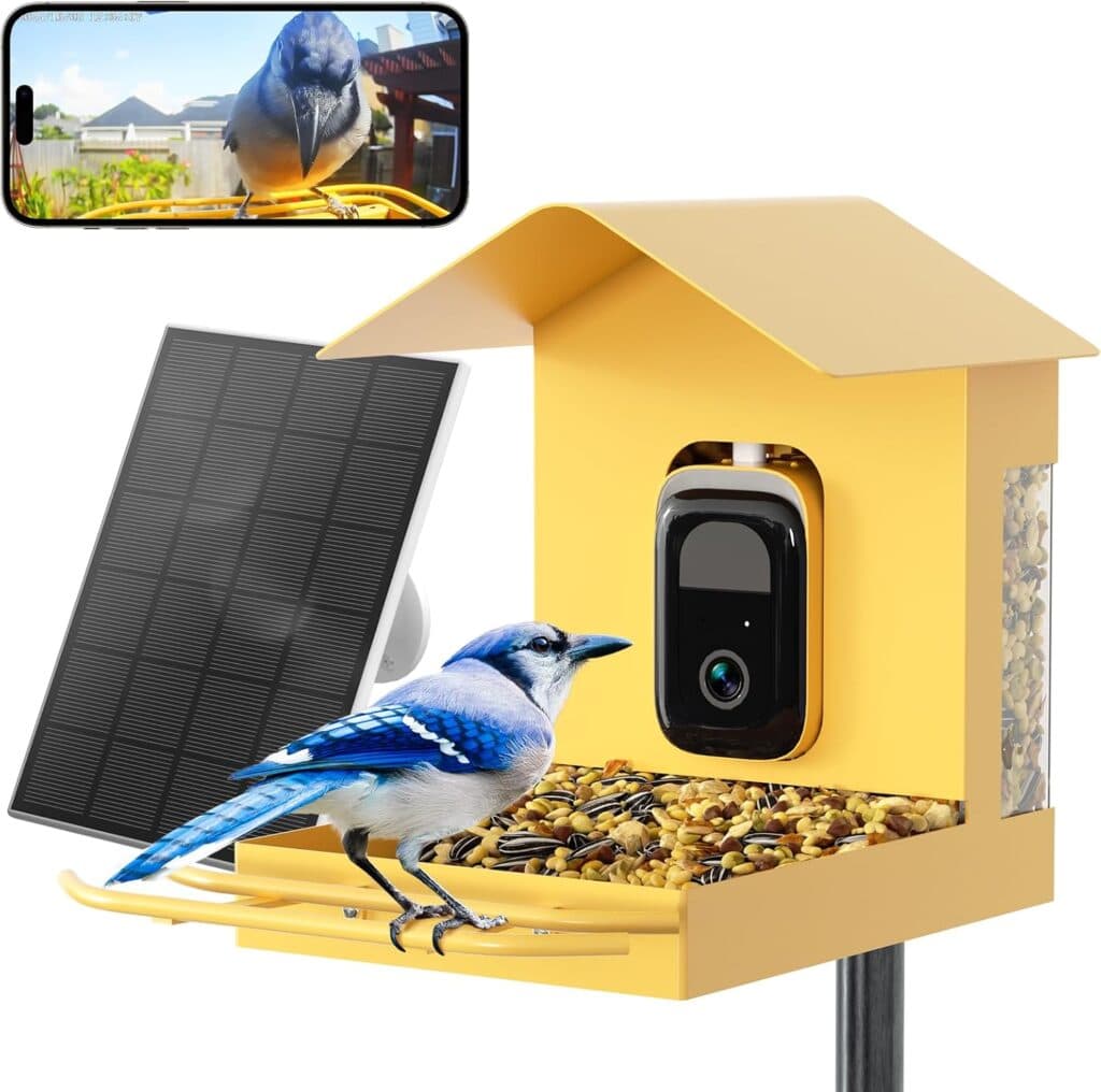 A blue jay stands on a yellow bird feeder filled with seeds. The feeder has a camera and a solar panel attached. A phone in the top left displays a live video of the blue jay on the feeder.