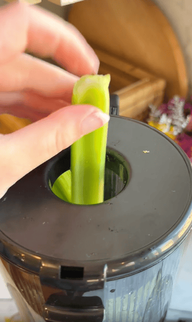 A hand holds a celery stalk and places it into the opening of a black juicer, highlighting how this compact appliance is worth the counter space for fresh, healthy juice.