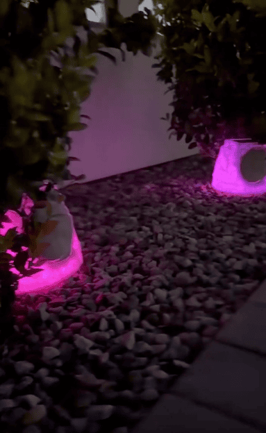 Two glass jars emitting pink light are placed among small rocks beneath green bushes at night, creating a glowing effect on the ground and plants.