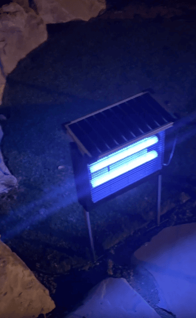 A bug zapper with a glowing blue light is placed outdoors on a grassy area at night, positioned between rocks and a concrete surface.