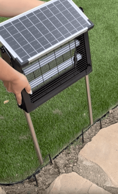 A person places a solar-powered bug zapper with metal legs into the ground beside a stone walkway on a grassy lawn.
