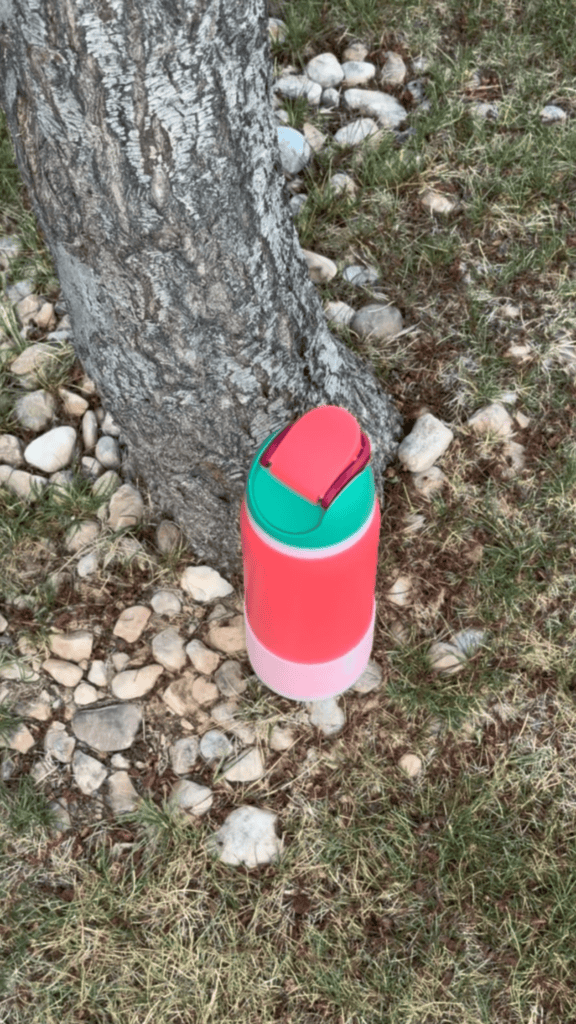 A red and pink water bottle with a green flip-top lid sits upright on grass and stones next to the base of a tree.