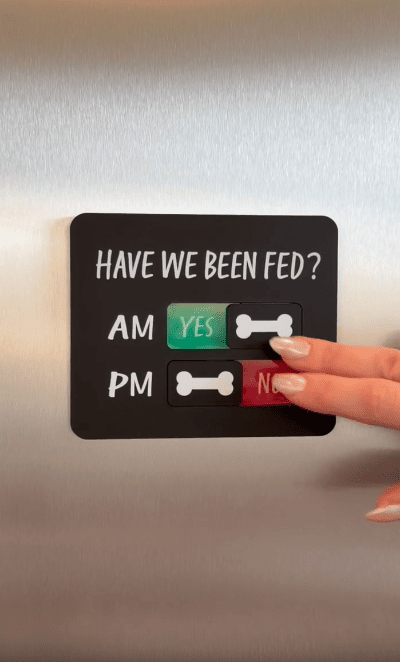 A hand moves a switch on a sign that reads "Have we been fed?" with AM set to "YES" in green and PM set to "NO" in red, featuring bone icons, on a metallic surface.