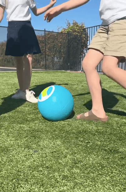 Two kids playing with a bright blue ball on green grass. One wears a skirt and sneakers, the other wears shorts and sandals. A black fence and trees are in the background under a clear blue sky.
