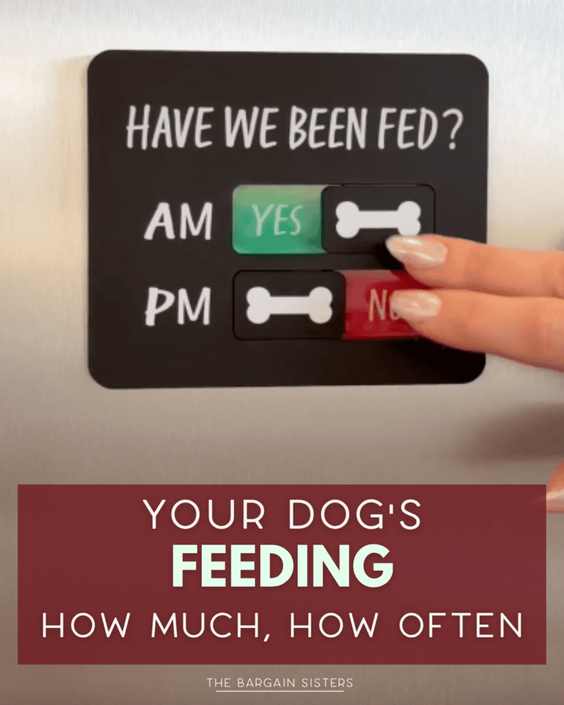 A hand slides a marker on a sign tracking if a dog was fed in the morning or evening, with options for AM/PM and yes/no, above text about dog feeding frequency.
