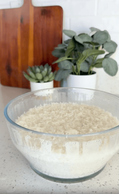 A glass bowl filled with cooked white rice sits on a kitchen counter. In the background, there are two potted plants and a wooden cutting board.