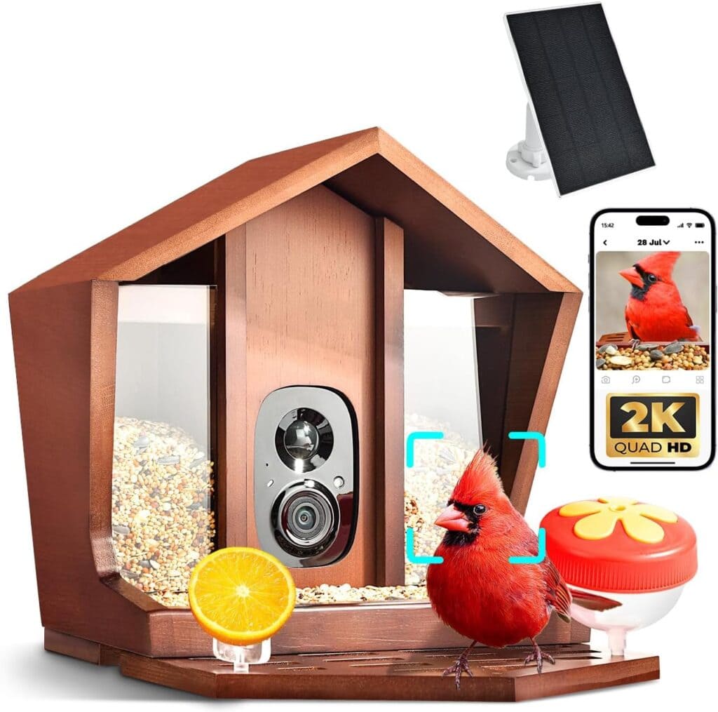 A bird feeder with a camera, a cardinal bird, birdseed, an orange slice, a small red feeder, a solar panel, and a smartphone displaying a bird photo and “2K Quad HD” text—perfect for capturing stunning wildlife moments in your backyard. Don’t miss out on exclusive Friday Deals to upgrade your birdwatching experience!.