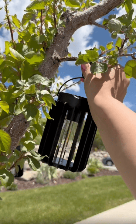 A hand hangs a small black solar hanging lantern on a tree branch in a cozy backyard, surrounded by grass, shrubs, and under a blue sky with clouds.