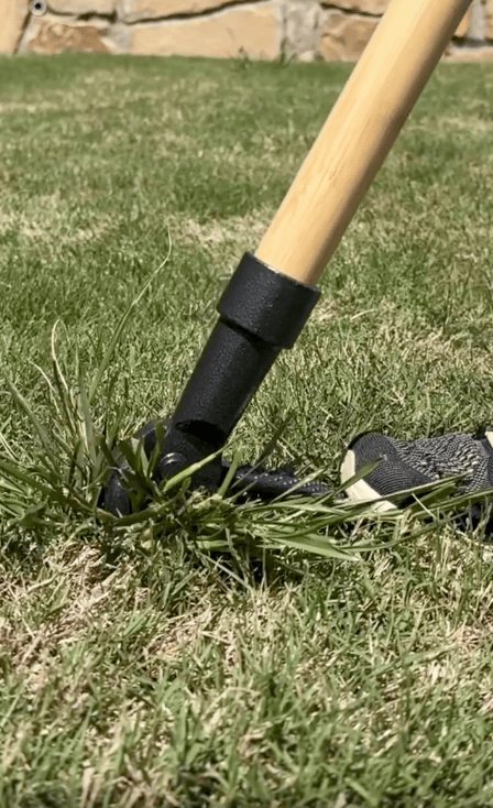 A close-up of a garden tool with a wooden handle being used for weed removal from a grassy lawn, with a gloved hand steadying the weeds to assist in pulling weeds by hand.