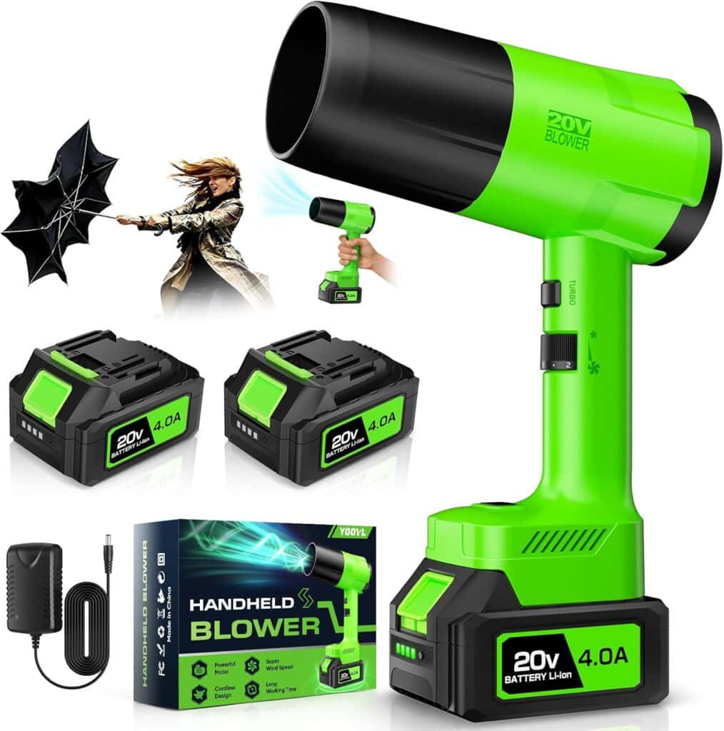 Green and black 20V handheld blower with two 4.0Ah batteries, a charger, and product box. Image also shows a woman using the blower to repel an umbrella with strong wind.