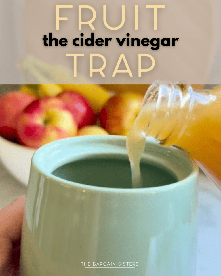 The Cider Vinegar Fruit Fly Trap We Leave Out on the Counter