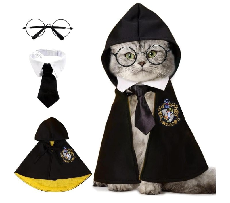 A cat wizard Halloween costume with a pointed hat and cape for dressing up your pet, featured in our Thursday Deals.