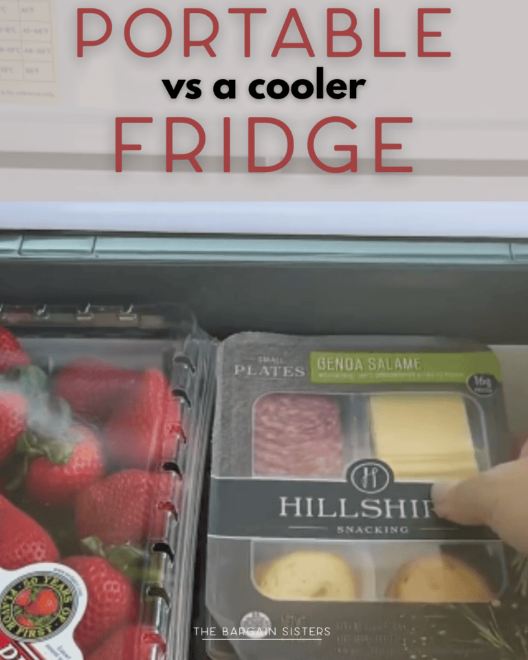 Open cooler fridge with strawberries and a hand reaching for a Hillshire Snacking pack. Text above reads, “PORTABLE vs a cooler FRIDGE.”.