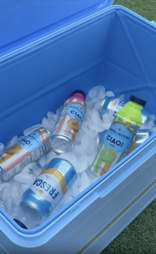 A blue cooler filled with ice holds assorted cans and one bottle of sparkling drinks, including flavors like lemon and grapefruit. The container is sitting on green grass.