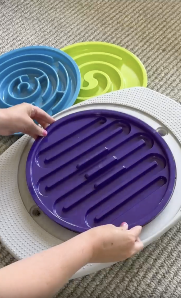 Two hands place a round, purple slow feeder dish onto a white mat. Nearby, blue and green slow feeder dishes rest on a textured carpet.